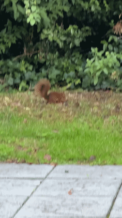 Krefeld, Germany