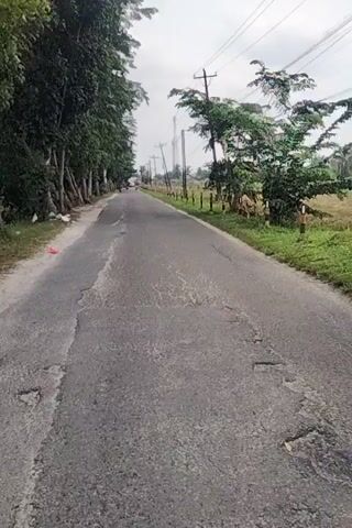 A video shows a paved road with cracks and patches of what appears to be water damage or some sort of residue. The road is bordered by trees and grass. There are power lines and poles visible along the side of the road. In the distance, a person on a motorcycle is traveling away from the camera. The sky is overcast. The video is shot from a low angle, giving the impression of riding on a bicycle or motorcycle. The camera is tilted, making the scene appear sideways.