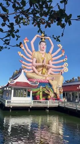 Temple visitors feed fish and pigeons in Thailand