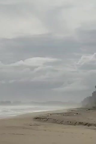 The video shows a desolate beach on a cloudy day. The sand is light brown and there is a gentle surf. In the distance, trees can be seen along the coastline. The sky is overcast with gray clouds. There are no people or animals visible in the video. The scene is calm and serene.