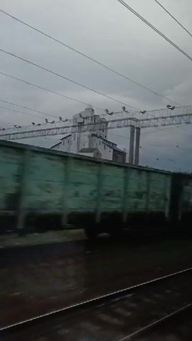 The video shows a moving train passing by a large, light-colored building with multiple stories and a domed structure on top. The building appears to be industrial or perhaps an old grain elevator. The train consists of several boxcars, some of which are green and others are red. Overhead, there are electrical wires and poles, indicating an electrified railway line. The sky is overcast and the overall lighting suggests it is daytime, possibly with a storm approaching or recent rain given the dark, wet appearance of the ground. The camera perspective is from inside another moving train, looking out the window, which causes a slight blur and motion effect. There are no people visible in the frame.
