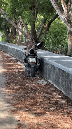 Early morning scenes documented in Thai coastal village