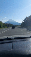 A road drive and a perched speckled bird, same timeframe