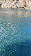 Two-toned water currents meet along a Gulf Islands shoreline.