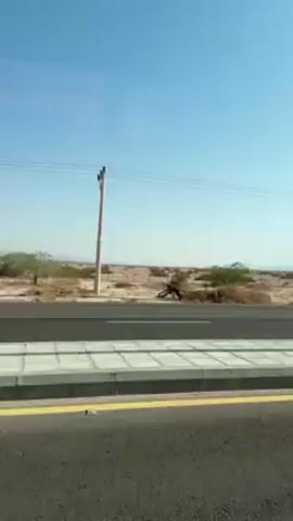 Here's a description of the video:

The video shows a view from a moving vehicle, likely a car or bus, traveling along a paved road. The landscape to the side of the road appears arid, with desert-like terrain visible. Low-lying vegetation dots the sandy ground, and distant hills or mountains are visible on the horizon. The sky is a clear, pale blue. Power lines run parallel to the road. The road itself has a wide median strip with a textured surface and a yellow line marking the edge. There are snippets of conversation that are hard to hear.