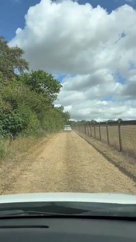 The video shows a first-person perspective from inside a car driving on a dirt road. A white car is visible ahead, driving in the same direction. The road is bordered on the left by dense green foliage and on the right by a wooden fence with wire mesh. The sky is blue with scattered white clouds. The overall impression is a rural landscape on a sunny day.