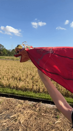 Woman flies dragon kite in Indonesian field