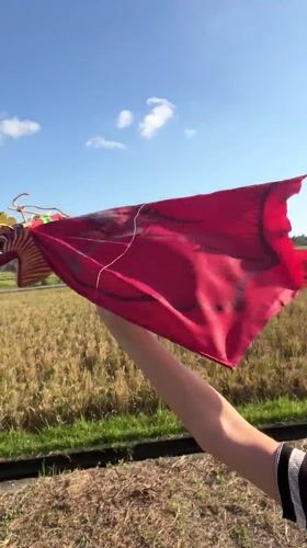 Woman flies dragon kite in Indonesian field