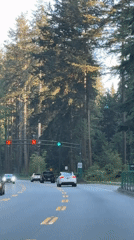 Motorcycle passes Tesla among traffic on Vancouver road