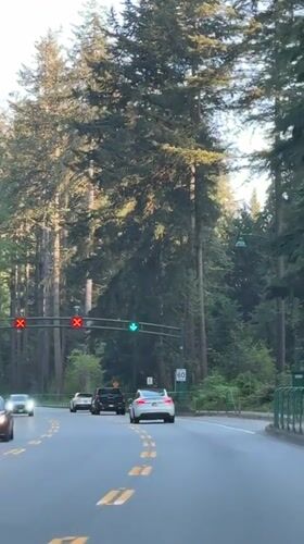 Motorcycle passes Tesla among traffic on Vancouver road