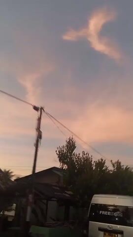 The video shows a time-lapse of a sunset with clouds in a pink and orange sky. There are power lines and trees visible in the foreground. The camera is moving, giving a sense of motion.