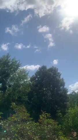 The video shows a view of trees and a bright, partly cloudy sky. The sun is visible in the upper right corner, casting a glare on the lens. The trees are green and lush, with dense foliage. The sky is a vibrant blue, with scattered white clouds that are illuminated by the sun. The overall impression is of a clear, sunny day.