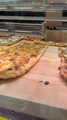 Pizza al taglio displayed at Roman establishment