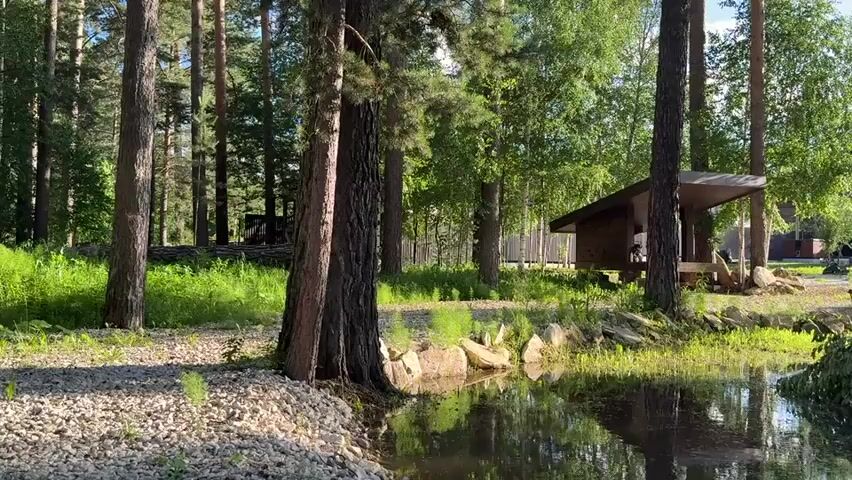 This media file captures a serene natural scene in Beryozovsky, Russia, likely during the daytime, given the bright sunlight and dappled shadows. The setting is a tranquil forest clearing featuring a small, dark-water pond or stream in the foreground. The water's surface reflects the surrounding greenery and the sky, creating a peaceful, almost mystical ambiance.

The banks of the pond are adorned with light-colored gravel on the left and a scattering of natural stones mixed with lush green grass and reeds on the right. Towering pine trees dominate the landscape, their rough bark and needle-laden branches forming a natural canopy overhead. In the mid-ground, nestled amongst the trees, is a small, rustic wooden structure with a slanted, dark-colored roof, resembling a small pavilion or shed. It appears to be an open-sided shelter with a wooden floor and visible support beams. A bit further back, another, larger building with a lighter facade and a red roof is partially visible, suggesting it might be a residential structure.

The overall mood is one of quiet solitude and natural beauty. The absence of any visible people or animals adds to the feeling of a secluded, untouched corner of nature. The weather appears pleasant, with clear skies implied by the bright lighting. The lush greenery suggests it's likely springtime or summer. The presence of the man-made structures, while integrated into the natural environment, hints at a recreational or residential area within a wooded expanse. No visible text is present in the media.