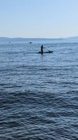 A person is paddleboarding on the water. The person is silhouetted against the bright sky. The water is dark blue and appears to be calm. There are some small waves on the surface of the water. In the distance, there are some hills or mountains. There are also some boats in the distance. The sky is a clear blue.
