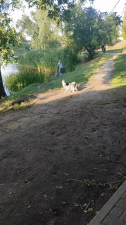 Quiet afternoon along Kyiv's waterfront park