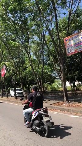 A person wearing a black t-shirt, blue jeans, and a black cap rides a white and red motorcycle. They are wearing a black backpack and a red bag is attached to the rear of the motorcycle. The person is seen from behind, and the motorcycle is moving forward on a paved road. The road is lined with trees, some of which have large canopies that create shade. In the background, there are other trees and a clear blue sky. There is also a white car visible on the left side of the road, and a signpost with colorful graphics on the right side of the road. The sun is shining, casting shadows on the road.