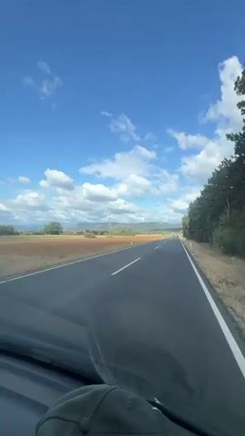 The video shows a view from inside a vehicle looking out at a highway on a sunny day. The road is asphalt with white lines marking the lanes. To the left of the road is a field of dry, golden grass and some trees in the distance. To the right of the road is a dense line of tall green trees. The sky is bright blue with scattered white clouds. There are power lines visible in the distance. A person's head, wearing a dark colored cap, is visible in the foreground, obstructing the lower part of the view. Several cars are visible on the road ahead.