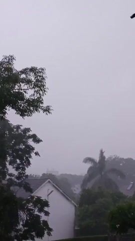 The video shows a view of a neighborhood during heavy rain.  A white house with a gray roof is visible in the foreground. A palm tree and other greenery are seen in the background, but visibility is reduced due to the rain and overcast sky. The branches of a large tree are prominent on the left side of the frame.  Raindrops appear to be falling heavily.