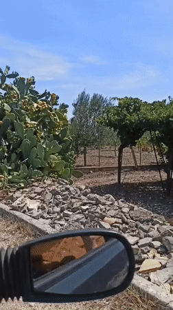Ruvo di Puglia, Italy