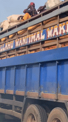 Heavy truck traffic observed at Lokoja toll booth