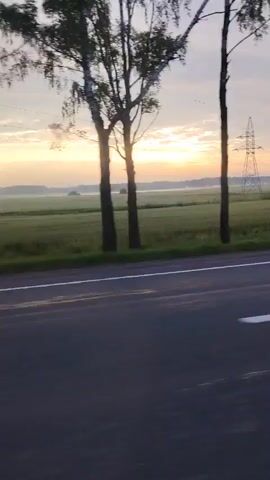 The video shows a sunrise over a rural landscape, captured from a moving vehicle. The foreground features a paved road with white lane markings. The middle ground consists of a green field, bordered by trees. In the background, the sun is rising, casting a warm glow and creating a hazy atmosphere. A power line tower is visible in the distance. The trees, predominantly birch, are silhouetted against the sky. The video appears to be a time-lapse or a slow pan, suggesting the vehicle is moving at a steady pace. There are no people or animals visible in the frame. The overall impression is one of a serene morning journey through the countryside.