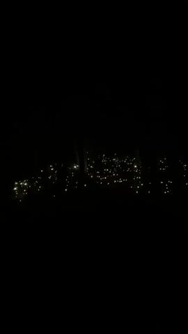 The video shows a dark forest at night with many small, glowing lights scattered across the ground. The lights appear to be arranged in clusters and are of varying brightness. There are also silhouetted trees in the background. The scene is quiet and still.