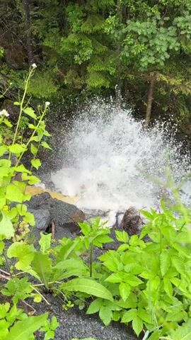 A high-pressure water stream is erupting from a pipe in a wooded area. The water is creating a large splash as it hits the surrounding rocks and ground. Lush green vegetation surrounds the scene, with trees forming a dense canopy overhead. The water appears murky brown as it flows away from the point of impact.
