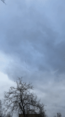 Woman documents spring day with selfies, bird watching in Klin