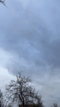 Woman documents spring day with selfies, bird watching in Klin