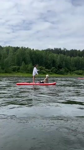 A person and a dog are on a paddleboard in a river. The person is standing and holding a paddle, and the dog is lying down on the board. Another person is in a kayak in the background. The river is surrounded by trees and mountains. The sky is cloudy.