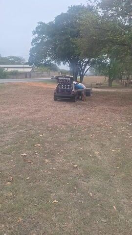 A man is working behind a maroon car with its rear door open. The car is parked on a grassy lawn near a large tree. It appears that there are speakers in the open rear section of the car. There is a road in the background and buildings on the other side of the road. The sky appears overcast.