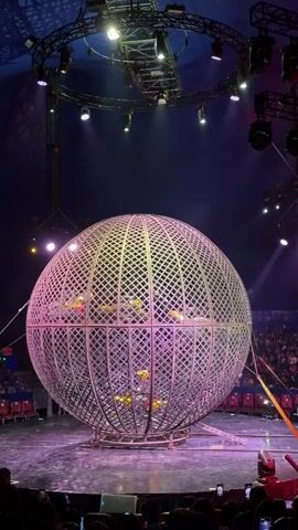 A dimly lit circus tent stage features a large, spherical steel cage. Inside the cage, multiple performers on motorcycles are riding on the interior walls. The cage is rotating, and the motorcycles are moving in a circular pattern. The audience can be seen in the foreground and background, seated in rows. Lighting rigs are suspended from the ceiling of the tent.