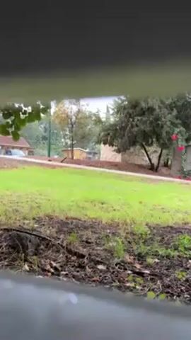 The video shows a ground-level view of a grassy lawn, likely in a park or residential area, partially obscured by a gray, possibly metal, structure in the foreground. A paved pathway cuts across the lawn, leading to a building with a red roof in the distance. Various trees and shrubs, some with red flowers, are scattered around. The sky is overcast and the scene appears slightly wet, possibly after rain. A car is also visible on the paved pathway in the distance.