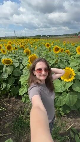 A young woman with long brown hair, wearing sunglasses and a grey t-shirt, takes a selfie in a field of sunflowers on a cloudy day. She is holding her phone out to take the picture, and her arm is visible in the foreground. The sunflowers are in full bloom, and their large yellow heads face the sky. In the background, there is a distant tree line and some power lines.