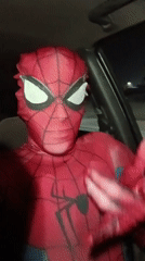 Spider-Man costumed person spotted in car in Venezuela
