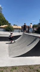 Koi ponds, blooming gardens, and skate tricks in Brest