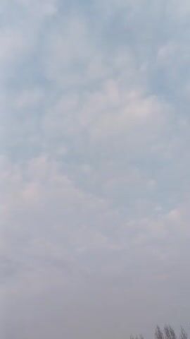 The video shows a sky filled with clouds. The clouds are mostly white, with some areas appearing slightly gray or pale blue. The sky itself is a light blue. The horizon is at the bottom of the frame, with the tops of some trees barely visible. The camera is mostly still, capturing the stationary clouds.