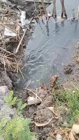 The video shows a close-up, downward-facing view of a body of murky, dark water. The water appears stagnant and possibly polluted, with debris floating on the surface and along the edges. The shoreline is comprised of mud, dirt, and various types of organic matter, including dry leaves and vegetation. There are also some discarded man-made objects visible, such as plastic bags and pieces of what looks like Styrofoam. In the background, several vertical wooden poles or stakes protrude from the water, suggesting a boundary or structure. The overall impression is of a neglected and possibly contaminated aquatic environment.