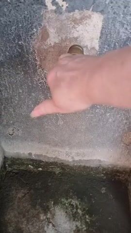 A hand is shown turning on a spigot that dispenses a stream of water. The spigot is brass and is mounted in a concrete wall. The water is flowing into a basin below. The basin appears to be made of concrete and is partially filled with water. The wall around the spigot is stained and discolored, suggesting that it is old and has been exposed to the elements. The overall scene appears to be outdoors, possibly in a park or garden.
