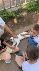 Morning life unfolds across Sofia neighborhoods