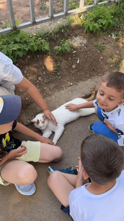 Morning life unfolds across Sofia neighborhoods