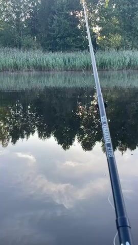 A fishing rod is angled down towards the surface of the water, casting a reflection of the sky and trees on the opposite bank. A red and white fishing lure is visible submerged in the water, attached to the fishing line. The water is calm, and the surrounding vegetation appears to be reeds and trees. The overall scene suggests a peaceful outdoor setting, likely a lake or river, during daylight hours.