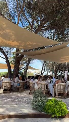 The video shows an outdoor dining area with many people seated at tables. The tables are covered with white linens, and the chairs are light-colored wicker. Most of the people are wearing white or light-colored clothing. Large, light-colored fabric canopies are suspended overhead, providing shade. The dining area is located under trees, and the ground is sandy. There are small shrubs and other greenery interspersed around the area.  Music is playing in the background.