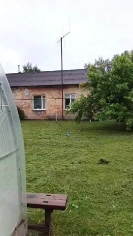 This media file captures an outdoor scene in Malaya Vishera, Russia. The setting is a grassy yard with a house in the background. The house appears to be an older, single-story building with a weathered brick facade and a dark-colored roof. There is a television antenna mounted on a pole in front of the house, and a satellite dish is visible on the wall. A large, leafy tree with lush green foliage stands to the right of the house, casting a shadow on the lawn.

In the foreground, the lawn is mowed, with some freshly cut grass visible. A wooden bench or table is positioned in the lower-left corner of the frame. Further into the yard, a small, circular fire pit made of bricks is present, along with a couple of wooden benches. A wooden fence runs across the mid-ground, separating the yard from what appears to be more overgrown vegetation and another building or structure behind it.

The weather appears overcast, suggesting a cloudy or possibly damp day. The lighting is diffused, and there are no strong shadows. The overall mood is calm and rural. There are no people visible in the media file. The focus is on the domestic setting and the natural elements of the yard. The presence of the fire pit and benches suggests a space used for outdoor activities and relaxation. The time of day is indeterminate due to the overcast conditions.