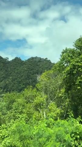 A vehicle-mounted camera captures a view of a lush green mountainous landscape with a partly cloudy sky. The foreground features dense foliage, including broad-leafed plants and palm trees. In the middle ground, a small, weathered house with a dark roof and an open doorway is visible, surrounded by vegetation. Further back, the dominant feature is a steep, forested mountain with a prominent rock face. The camera pans slightly, revealing a white post with some greenery growing on it and power lines running horizontally. The overall impression is of a rural, tropical environment.