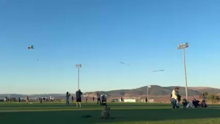 The video shows a public field or park on a clear, sunny day. Several people are flying kites, of varying shapes and sizes, which are visible against the blue sky. A few figures, including adults and children, are gathered near the right side of the frame, standing or sitting and appearing to be engaged in conversation. Other individuals are dispersed throughout the green field, some walking, others standing, likely controlling their kites. Two light poles are standing tall on the field. In the background, there's a view of distant hills or mountains. A backpack and a dog can be seen in the foreground.