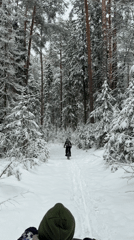 Family winter cycling outing in snowy Russian forest