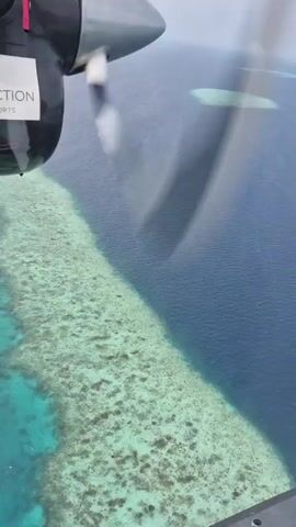 Here's a concise description of the video:

The video shows an aerial view from a seaplane flying over a reef in the ocean.  The water on one side of the reef is shallow and turquoise, revealing the reef structure below. The other side is deep blue.  The seaplane has logos for several hotels and resorts displayed on its side, including Niyama Private Islands Maldives, Avani Hotels & Resorts, and NH Collection Hotels & Resorts. The plane's propeller is visible in the foreground, spinning rapidly.