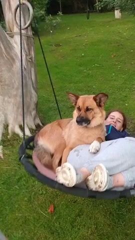 A young person wearing glasses and a grey hooded sweatshirt is lying on a round swing suspended from a tree. A medium-sized, light brown dog is lying on top of the person, resting its head on their chest. The person is looking towards the camera with a slight smile. The swing is in a grassy yard with trees and bushes in the background. Another young person wearing a grey hoodie and grey shorts is standing to the left of the swing, reaching out towards it. The camera is positioned at a medium distance, capturing the scene from a slightly elevated angle.